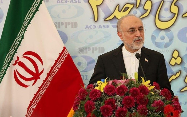 نیروگاه هستهای بوشهر تا دو روز آینده وارد مدار میشود